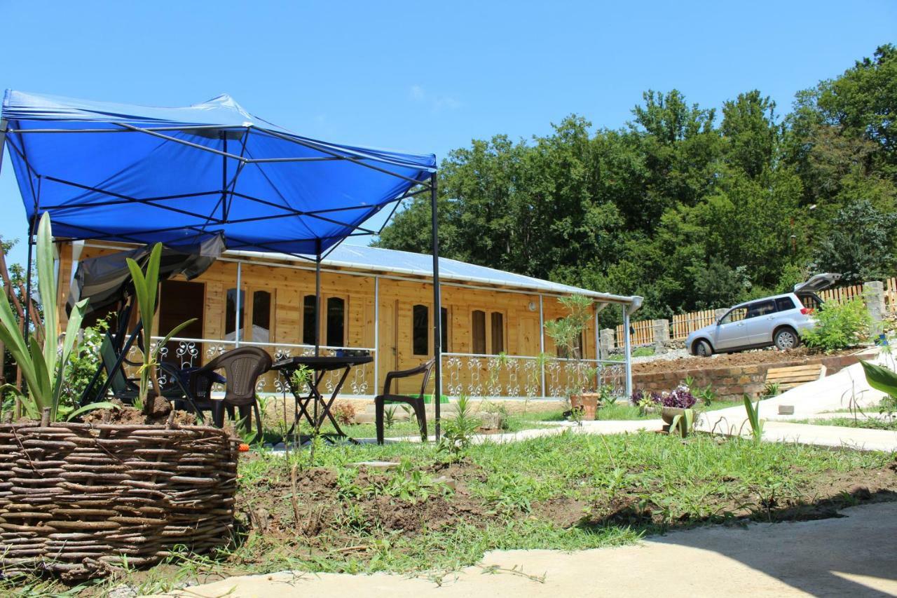 Green Villa Tskaltubo Luaran gambar